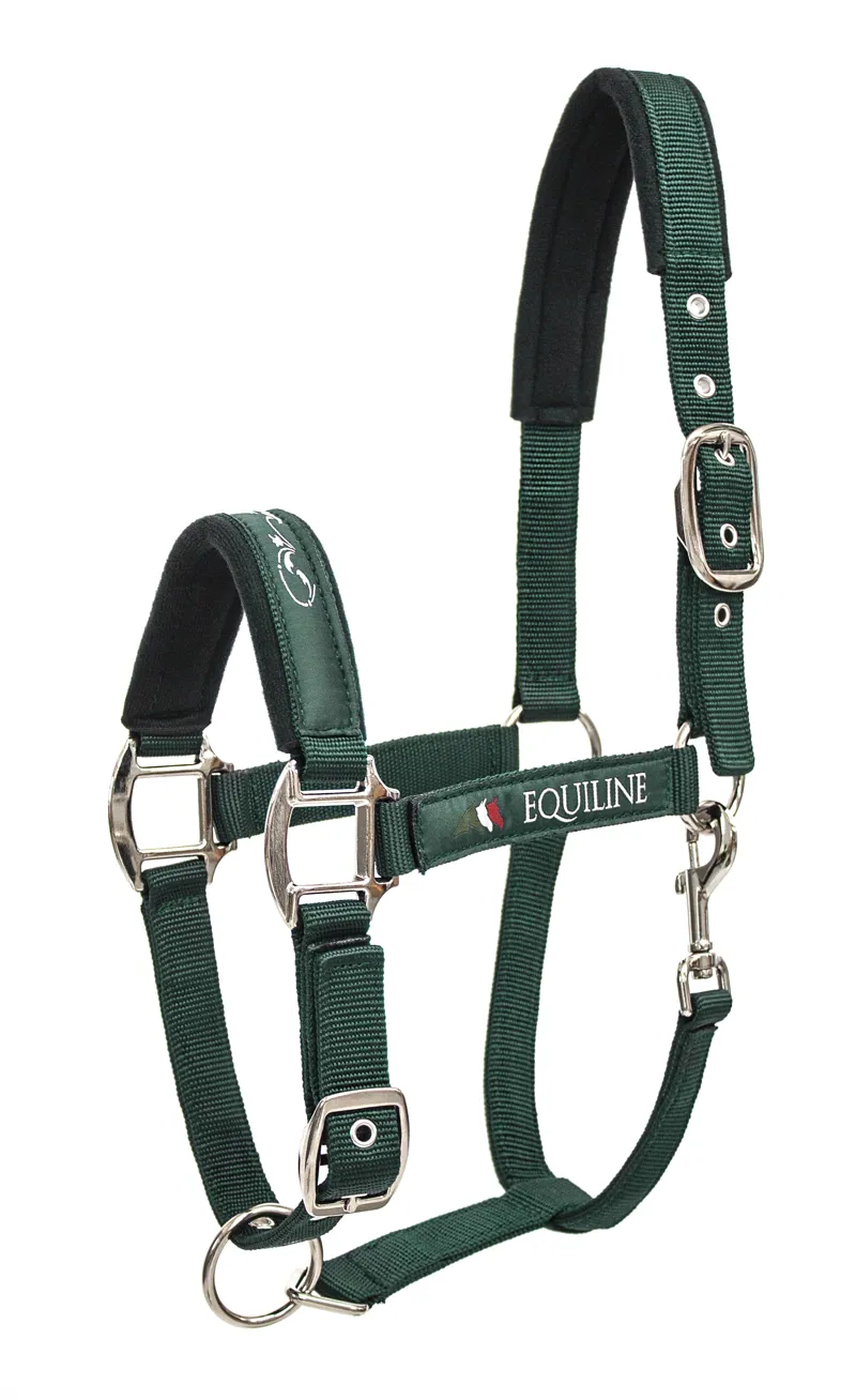 Equiline Timmy Headcollar Green